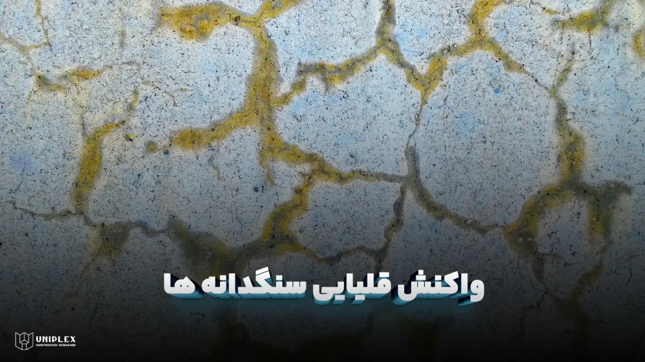 واکنش قلیایی سنگدانه (AAR)