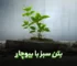 بتن سبز با بیوچار